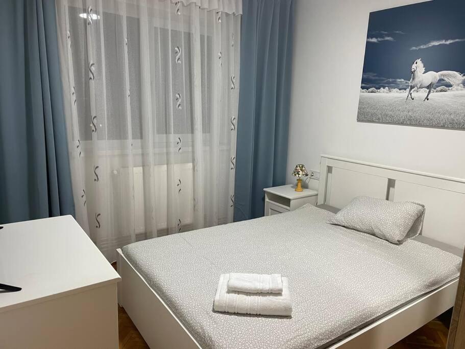 Apartment Lux Vivo Mall Baia Mare